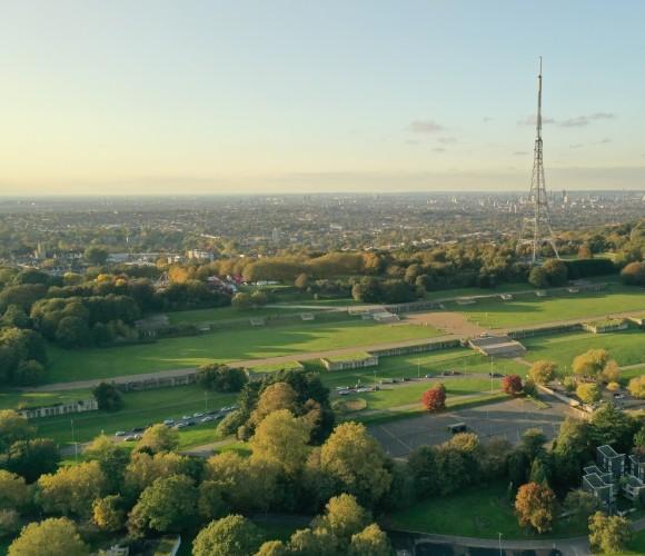 A birds eye view of the Italian Terraces at Crystal Palace Park.
