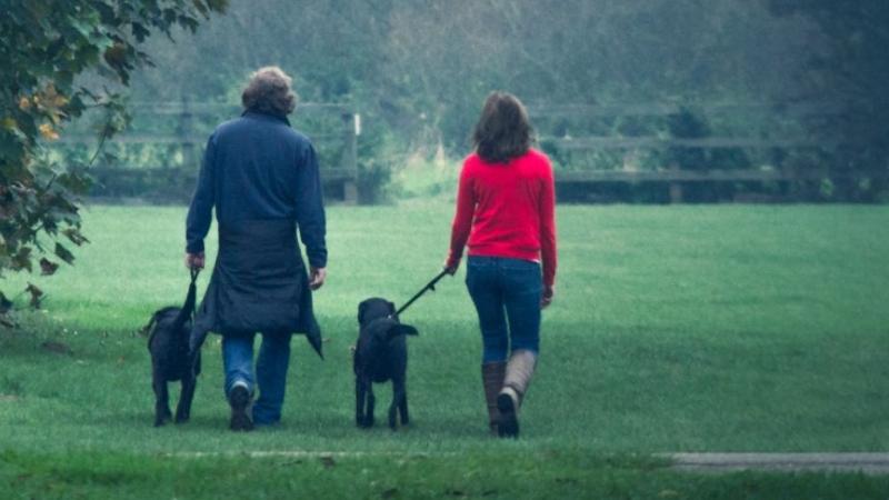 Two people in a field surrounded by trees walking their dogs, both dogs on leads.