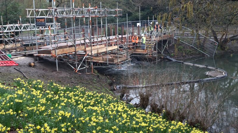 Picture of new Kelsey Park bridge across lake in Kelsey Park, part way through construction, with scaffolding supporting the bridge.  The picture also shows daffodils and a small part of the lake.