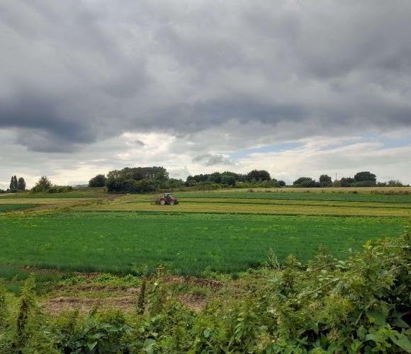 Picture of a field which is part of the borough’s greenbelt, where a tractor is at work.