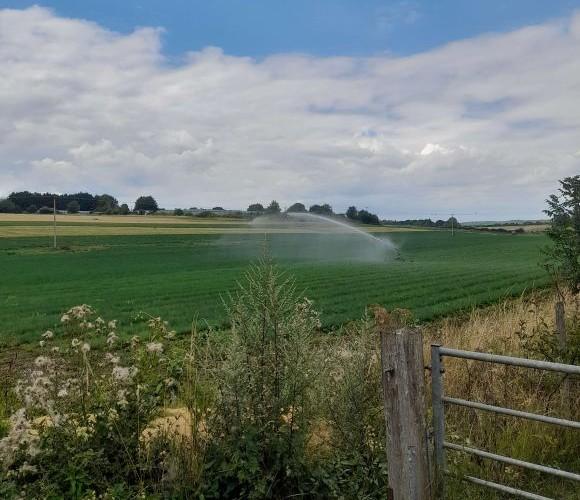 Picture of a field which is part of the borough’s greenbelt, where growing crops are being watered.